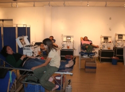 El Centro Regional de Transfusión Sanguínea realiza hoy JUEVES una colecta de sangre en La Herradura