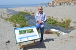 Ayuntamiento y Universidad trabajan en un proyecto de regeneración de la vegetación natural de las playas de Salobreña