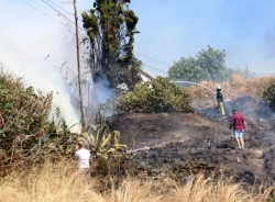 Un aparatoso incendio en una parcela cercana a zona residencia alerta a vecinos de la zona de Puente de Noy y El Cercado en Almuñécar