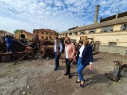 La limpieza intensiva del entorno al aire libre de la Fábrica del Pilar engrandece el inicio de su rehabilitación