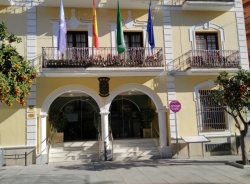 El Boletín Oficial de la Provincia (BOP) publica este jueves la convocatoria de ayudas que promueve el Ayuntamiento de Almuñécar para el comercio y ho