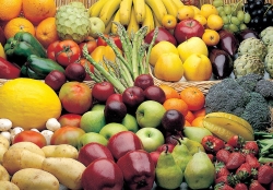 Andalucía batió el récord de exportaciones en frutas y hortalizas en el primer semestre de 2021, con 4.083 millones de euros y un crecimiento del 2,2%