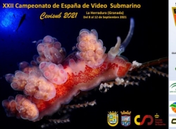 El XXII Campeonato de España de Vídeo Submarino comienza este miércoles en La Herradura.