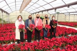 Miles de pascueros vestirán los jardines de Motril durante la Navidad