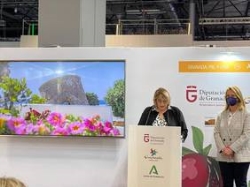 Carchuna y Calahonda abren una gran ventana virtual al mundo turístico con el estreno de su nueva web