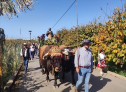 Almuñécar volvió a celebrar la Romería de San Isidro con gran éxito de participación