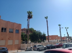 El Área Municipal de Medio Ambiente pone a punto las zonas verdes de los colegios de Almuñécar
