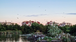 La Charca de Suárez celebra el día mundial de las aves este 8 de octubre