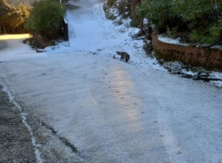 Volvió a nevar en Peña Escrita, la zona alta de Almuñécar