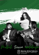 El flamenco, protagonista de la conmemoración del Día de Andalucía en Motril