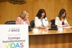 Diputación acoge una jornada de la ONCE sobre empleo inclusivo