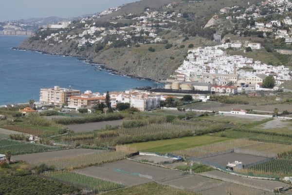 La Junta acometerá de forma inmediata el arreglo de la rambla de La Caleta