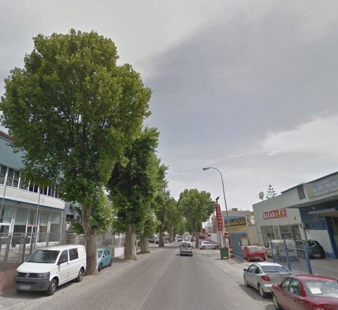 La concejalía de Parques y Jardines inicia la poda del arbolado del ‘Kilómetro 1’