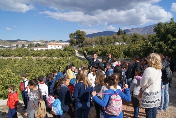 Alumnos de primaria conocen los frutos subtropicales de mano del ‘Grupo La Caña’