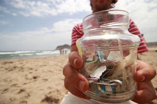 Gran limpieza de playa y fondos marinos en Salobreña y las zonas protegidas (ZEC) del Tesorillo y La Caleta