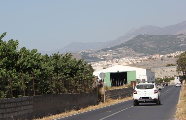 La concejalía de Agricultura limpia y acondiciona la carretera de acceso a Motril por los Candelones