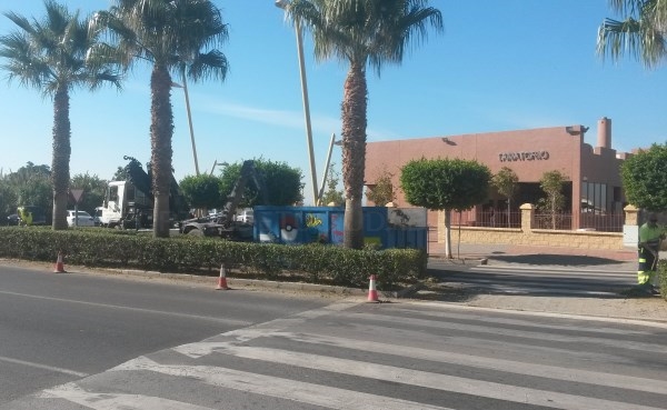 La concejalía de Parques y Jardines continúa con el plan especial de poda de palmeras y árboles en calles y avenidas de la ciudad
