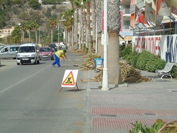 Almuñécar y La Herradura comienza la campaña de limpieza de palmeras en las vías y zonas públicas