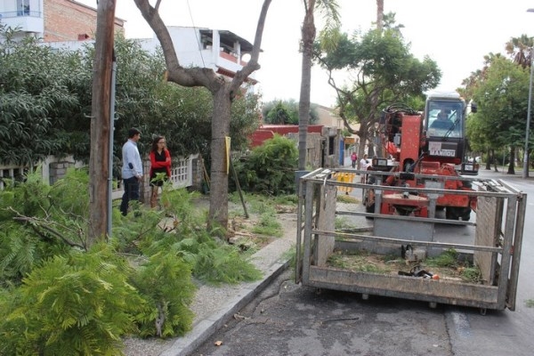 La concejalía de Parques y Jardines continúa con el plan especial de poda de palmeras y árboles en la avenida Enrique Martín Cuevas