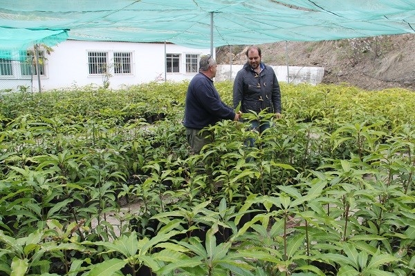 Almuñécar mejora la finca experimental El Zahorí con ayuda del PFEA