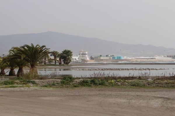 El Ayuntamiento trabaja en la reparación de los daños causados por el temporal de levante