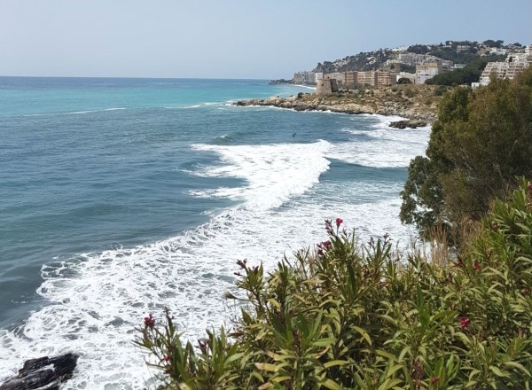 Ciudadanos Almuñécar-La Herradura lamenta que, un año más, el equipo de gobierno fracase en la obtención de Bandera Azul para las playas del municipio