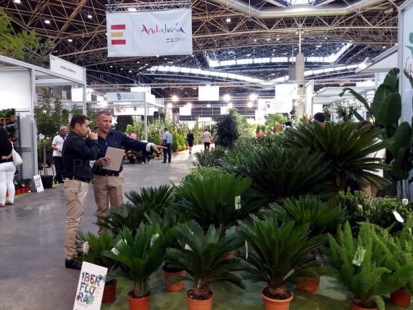 UNA VEINTENA DE EMPRESAS ANDALUZAS MUESTRA SU OFERTA EN LA FERIA INTERNACIONAL IBERFLORA DE VALENCIA DE LA MANO DE EXTENDA