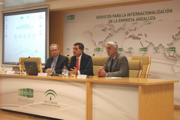 UNA TREINTENA DE FIRMAS ANDALUZAS PARTICIPAN EN UNA JORNADA SOBRE OPORTUNIDADES DE NEGOCIO EN BRASIL ORGANIZADA POR EXTENDA