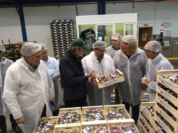 La empresa motrileña ‘Hortícola Guadalfeo’ obtiene una subvención de la Junta de 800.000 euros para mejorar su maquinaria y ganar en competitividad