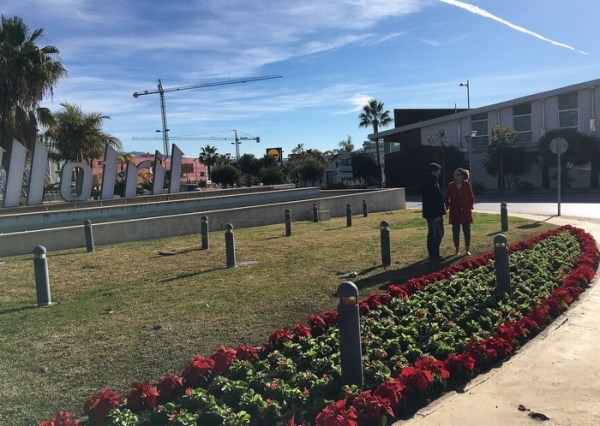 La concejalía de Parques y Jardines planta más de 10.000 pascueros, begonias, ciclámenes y alhelíes para adornar Motril en Navidad
