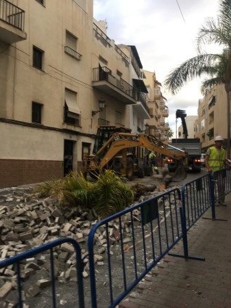 EL PSOE DE ALMUÑÉCAR Y LA HERRADURA DENUNCIA LA TALA INDISCRIMINADA DE  PALMERAS EN LA AVENIDA DE ANDALUCÍA.