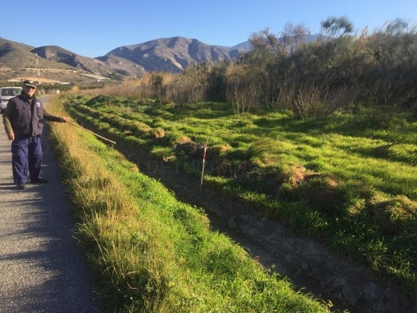 LOBRES RECUPERA SU TRADICIONAL ALAMEDA JUNTO AL RÍO