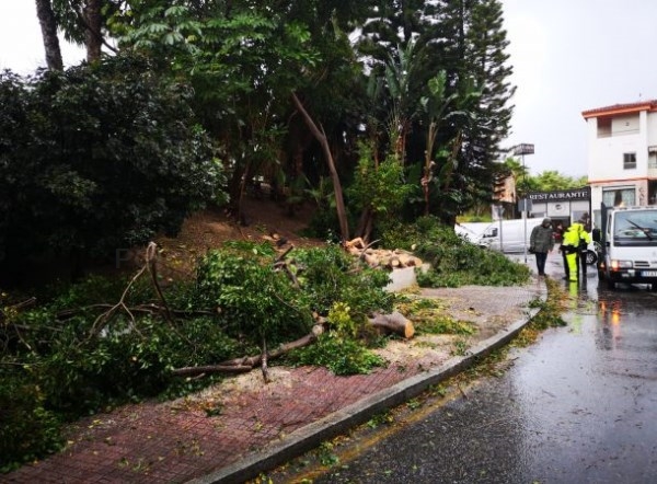 Hasta media docena de incidencias han atendido los Bomberos de Almuñécar este viernes por el viento y la lluvia