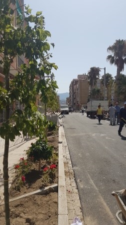 La apertura total de la calle Ancha se retrasa una semana y se abrirá gradualmente para los peatones