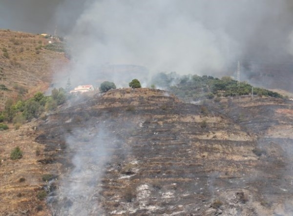 Varias hectáreas de monte, subtropicales y almendros junto con el trastero de un cortijo ha alcanzado el fuego en el Barranco La Golondrina en los mun