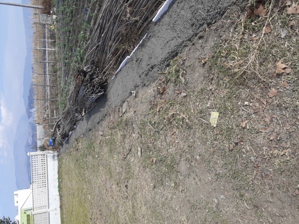 El Parque de la Fuente reabrirá a finales de noviembre tras la construcción de un muro y una poda radical para evitar la entrada de roedores