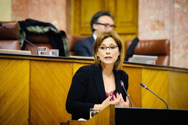 Ciudadanos propone la creación de un grupo de trabajo para impulsar el Pacto Social por la Educación en Andalucía