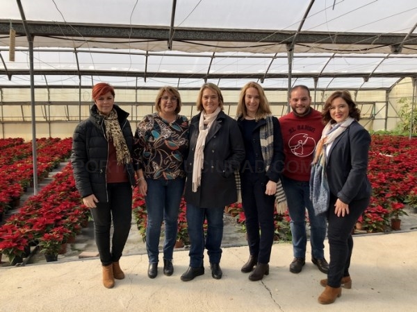 El Ayuntamiento de Motril plantará 4.500 pascueros en los parques y jardines de todo el término municipal