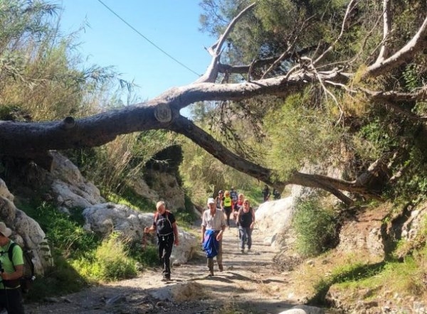 Una veintena de senderistas de Almuñécar recorrieron la ruta del Paraje Natural de Cerro Gordo – Maro