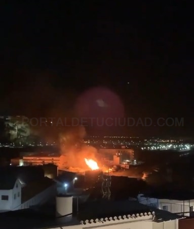 Unos 700 metros cuadrados de cañaveral afectados por un incendio en La Guardia