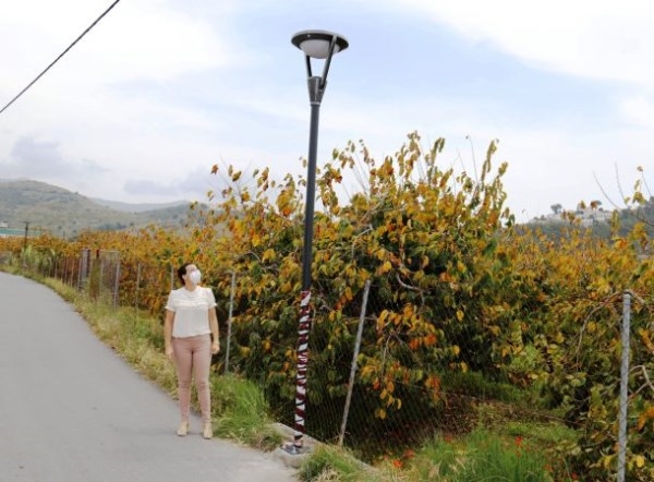 Almuñécar inicia la iluminación con energía solar de un vial de la Vega de Río Verde