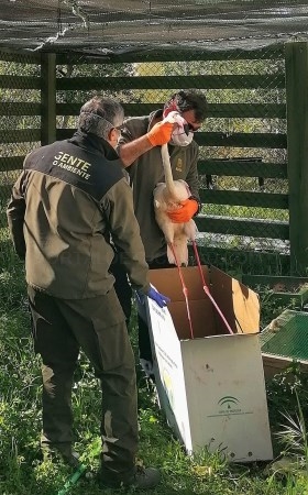 La reserva natural Charca de Suárez en Motril abre de nuevo sus puertas  a los vecinos y visitantes este viernes