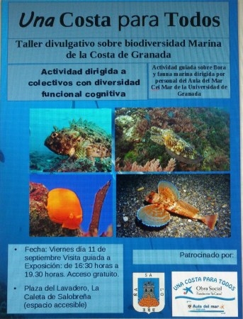 Una limpieza de fondos y talleres divulgativos para personas con diversidad funcional, se suman a la agenda de actividades medioambientales de Turismo