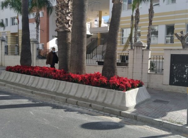 Almuñécar y La Herradura pone color de pascua en las jardineras ante la Navidad