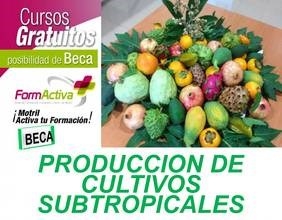 El Área de Formación y Empleo inicia siete nuevos itinerarios formativos para la mejora de la empleabilidad