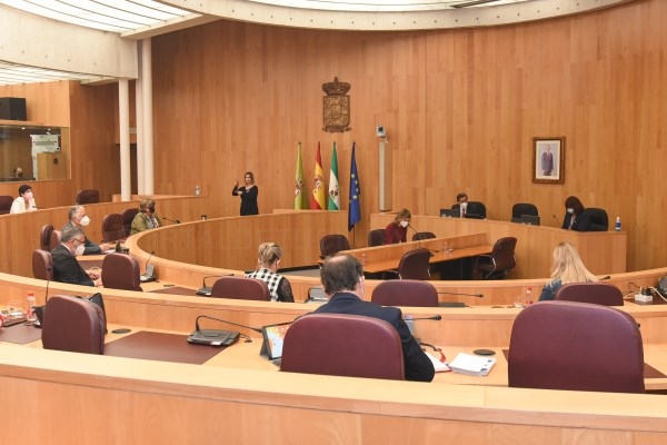 El Pleno provincial tramita la renuncia de Pedro Fernández