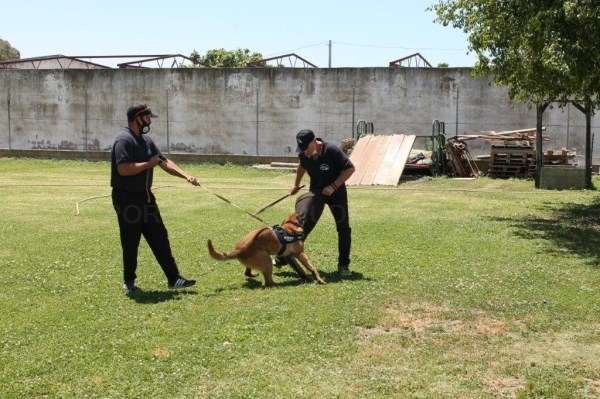 ABRE SUS PUERTAS UN NUEVO CENTRO CANINO EN SALOBREÑA