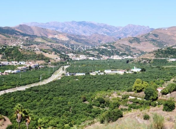 La Junta autoriza la recarga del acuífero de Río Verde solicitada la por el Ayuntamiento y Comunidades de Regantes