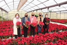 Miles de pascueros vestirán los jardines de Motril durante la Navidad