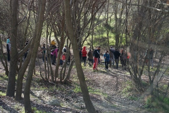 Diputación organiza una jornada vecinal de reforestación de los márgenes del río Genil a su paso por Cenes de la Vega